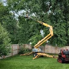 Best Fruit Tree Pruning  in Grant, NE